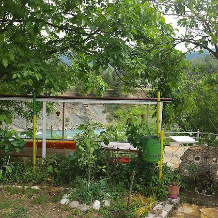 Honey-House “Kastrioti” Διαμέρισμα Πρεμετή Εξωτερικό φωτογραφία