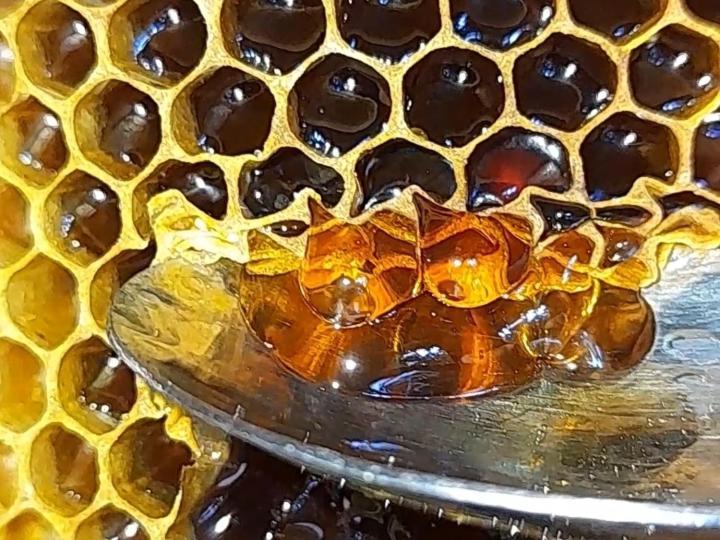 Honey-House “Kastrioti” Διαμέρισμα Πρεμετή Εξωτερικό φωτογραφία