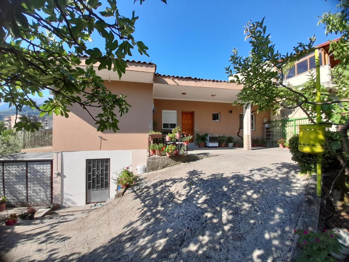 Honey-House “Kastrioti” Διαμέρισμα Πρεμετή Εξωτερικό φωτογραφία