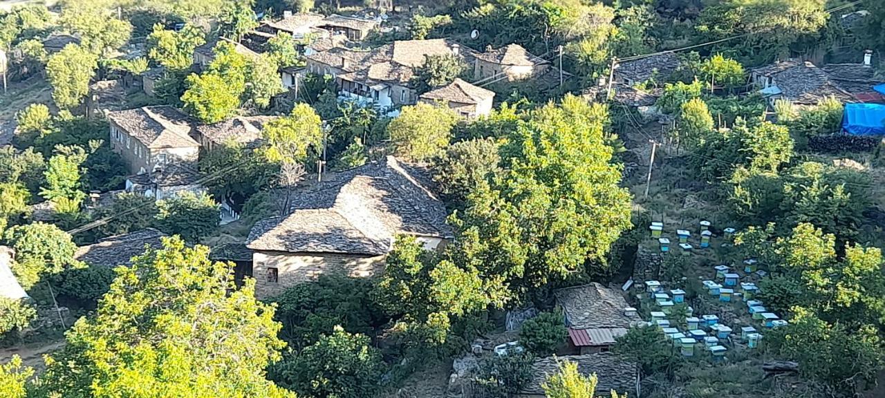 Honey-House “Kastrioti” Διαμέρισμα Πρεμετή Εξωτερικό φωτογραφία