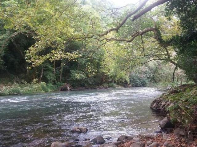 Honey-House “Kastrioti” Διαμέρισμα Πρεμετή Εξωτερικό φωτογραφία