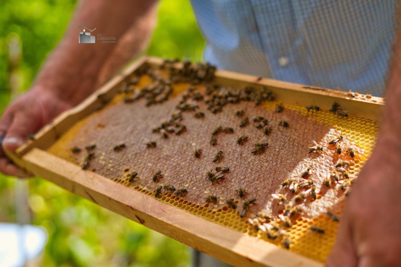 Honey-House “Kastrioti” Διαμέρισμα Πρεμετή Εξωτερικό φωτογραφία
