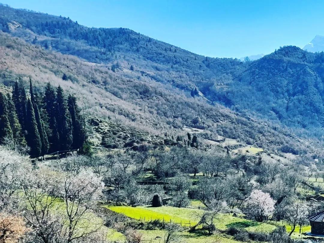Honey-House “Kastrioti” Διαμέρισμα Πρεμετή Εξωτερικό φωτογραφία