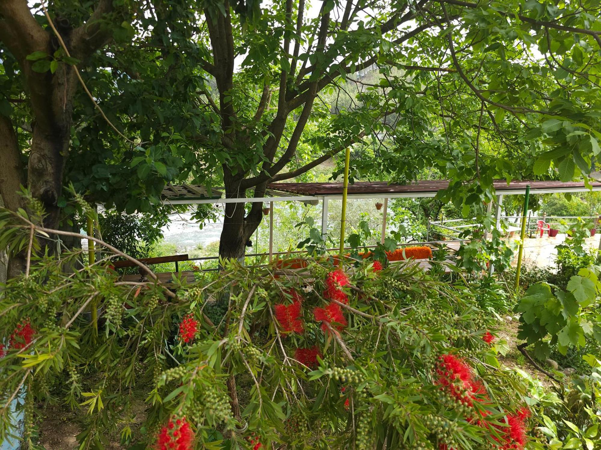 Honey-House “Kastrioti” Διαμέρισμα Πρεμετή Δωμάτιο φωτογραφία